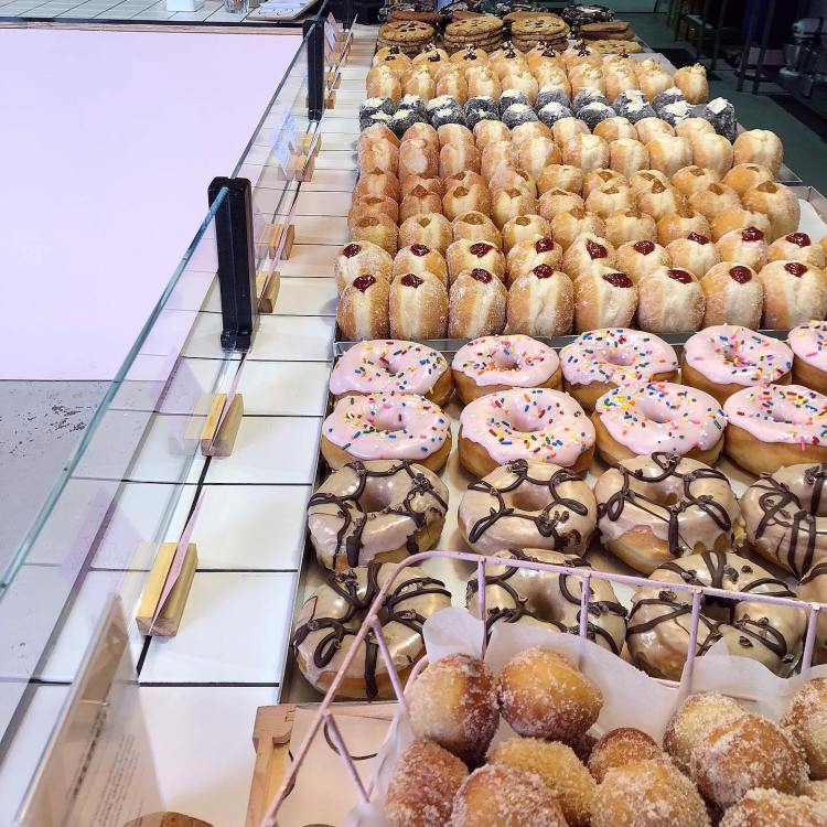 Doughnuts displayed in the store